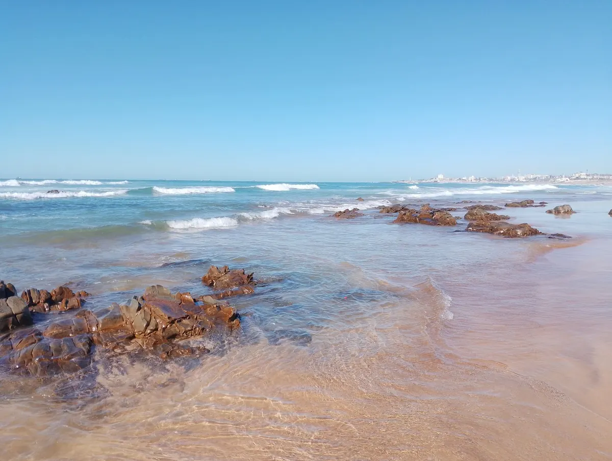 Best UK Beaches for Rock Pooling: A Beginner's Seasonal Guide